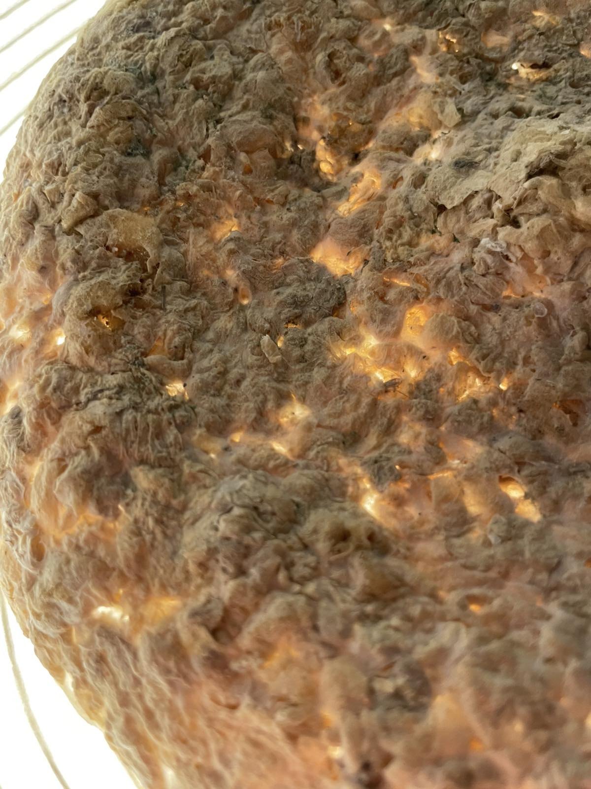Poro, materials development by Koncave — image 7