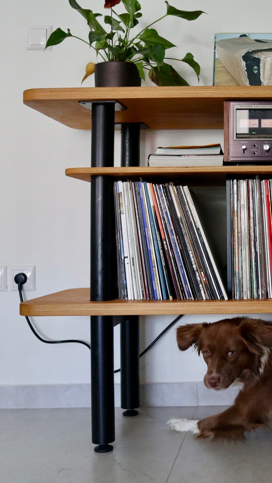 Studies, design by Koncave — image 3
